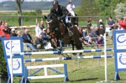 08_2_IMG_0029