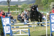 08_2_IMG_0033