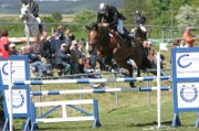 08_2_IMG_0037