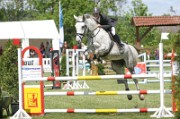 08_2_IMG_0041