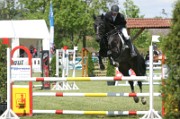 08_2_IMG_0060