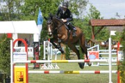08_2_IMG_0064