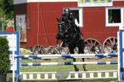 13_IMG_0038