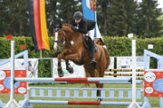 17_IMG_0011