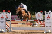 06_IMG_0018