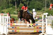 17_IMG_0006