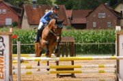 08_IMG_0022