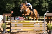 09_IMG_0016
