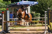 12_IMG_0041