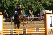 19_IMG_0053