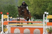 14_IMG_0034