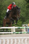 07_IMG_0003