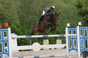 05_IMG_0175