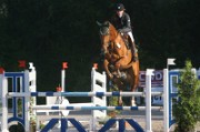 04_1_IMG_0003
