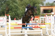 02IMG_0068