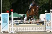 06-1IMG_0008