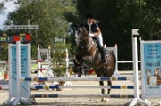 11IMG_0019