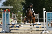 11IMG_0031