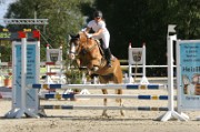 11IMG_0038
