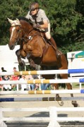 12IMG_0019