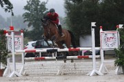 26IMG_0019
