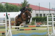 17_IMG_0017