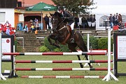 16_IMG_0012