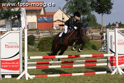 12_IMG_0005