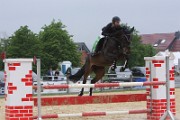 15_IMG_0036