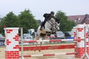 15_IMG_0040