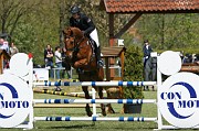 07_1_IMG_0007