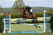 07_2_IMG_0010