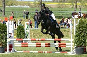17_IMG_0008