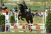 17_IMG_0017