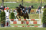 17_IMG_0029
