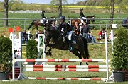 17_IMG_0031