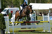 12_IMG_0031