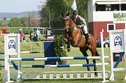 13_1_IMG_0031