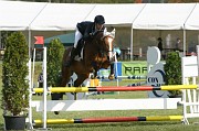13_2_IMG_0008