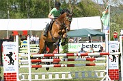 IMG_0010