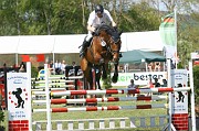IMG_0046