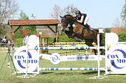 IMG_0051