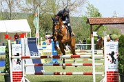 IMG_0006