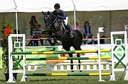 IMG_0031