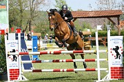 IMG_0039