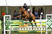 IMG_0046
