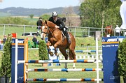 IMG_0008