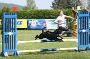 IMG_0006