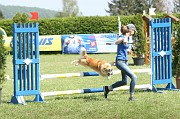 IMG_0019