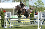 IMG_0019